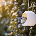 Arrêtez de jeter ce pot en plastique : les oiseaux en raffolent surtout en hiver