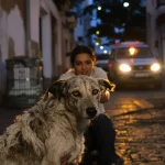 Maroc : derrière la CAN, l’extermination des chiens errants à cinq ans de la Coupe du monde
