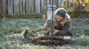 Pourquoi les jardiniers saupoudrent désormais du café sur les mangeoires à oiseaux
